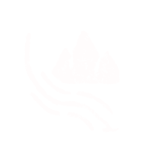 Fire icon